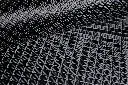2026-carbon-diamond.webp